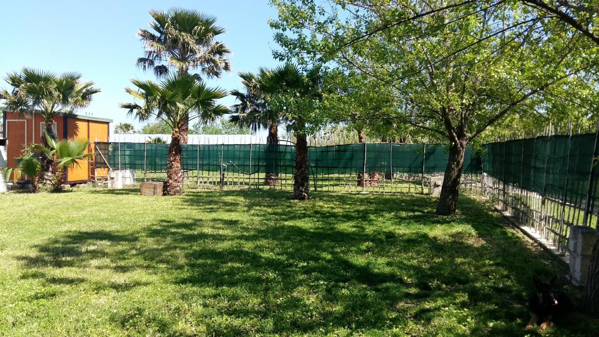 Villa Luna A Pochi Passi Dalla Spiaggia アヴォラ エクステリア 写真